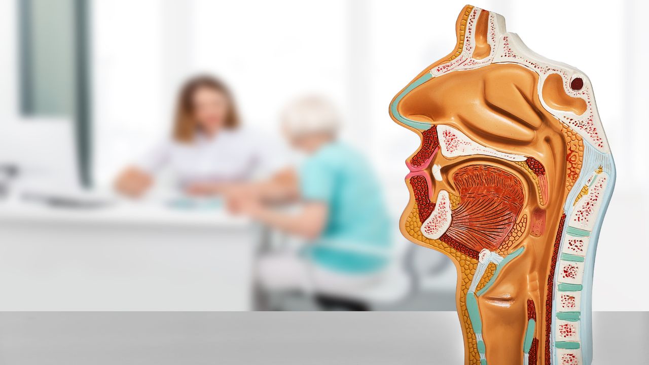 #1 Best ENT Doctor in Udaipur | ENT Specialists at Aravali